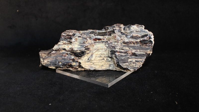 Silisleşmiş ağaç