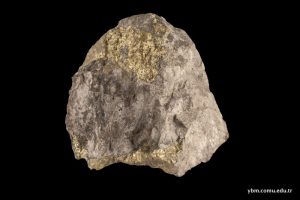 Moibdenite + Kalkopirit