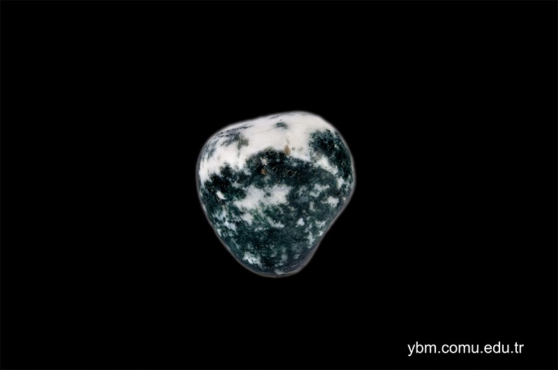 nimble_asset_DSC9375-16